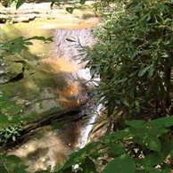 A trailside falls